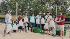 ESTUDIANTES DE INGENIERÍA AGROFORESTAL ACUÍCOLA REALIZAN SIEMBRA DE 2000 ALEVINOS DE GAMITANA