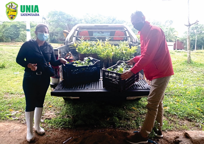 UNIA recibe donación de plantones de Tahuari