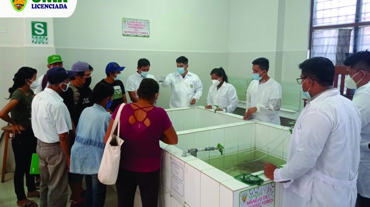 UNIA recibe visita de productores de peces de la Comunidad Nativa Alto Iscozacin – Región Pasco