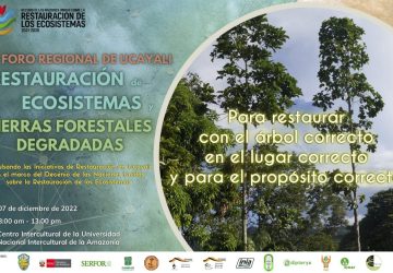 UNIA aliada con 14 Instituciones realizará el 1° Foro Regional en Ucayali sobre Restauración de Ecosistemas y Tierras Forestales Degradadas