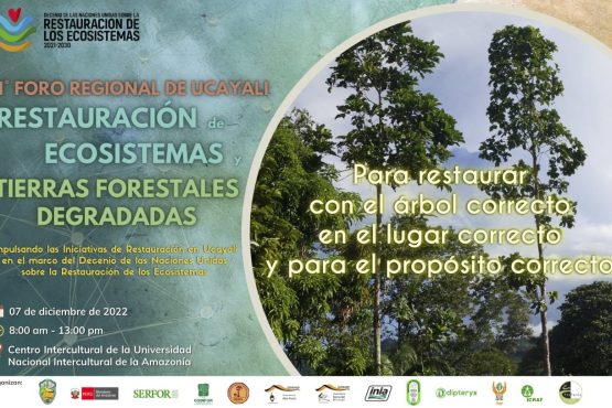 UNIA aliada con 14 Instituciones realizará el 1° Foro Regional en Ucayali sobre Restauración de Ecosistemas y Tierras Forestales Degradadas