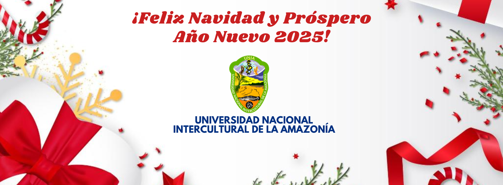 año-nuevo-2025